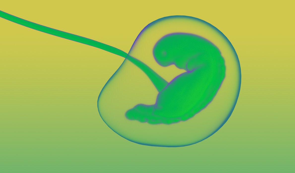The International Society for Stem Cell Research just loosened up decades-old restrictions on how long scientists can keep lab-grown embryos alive.