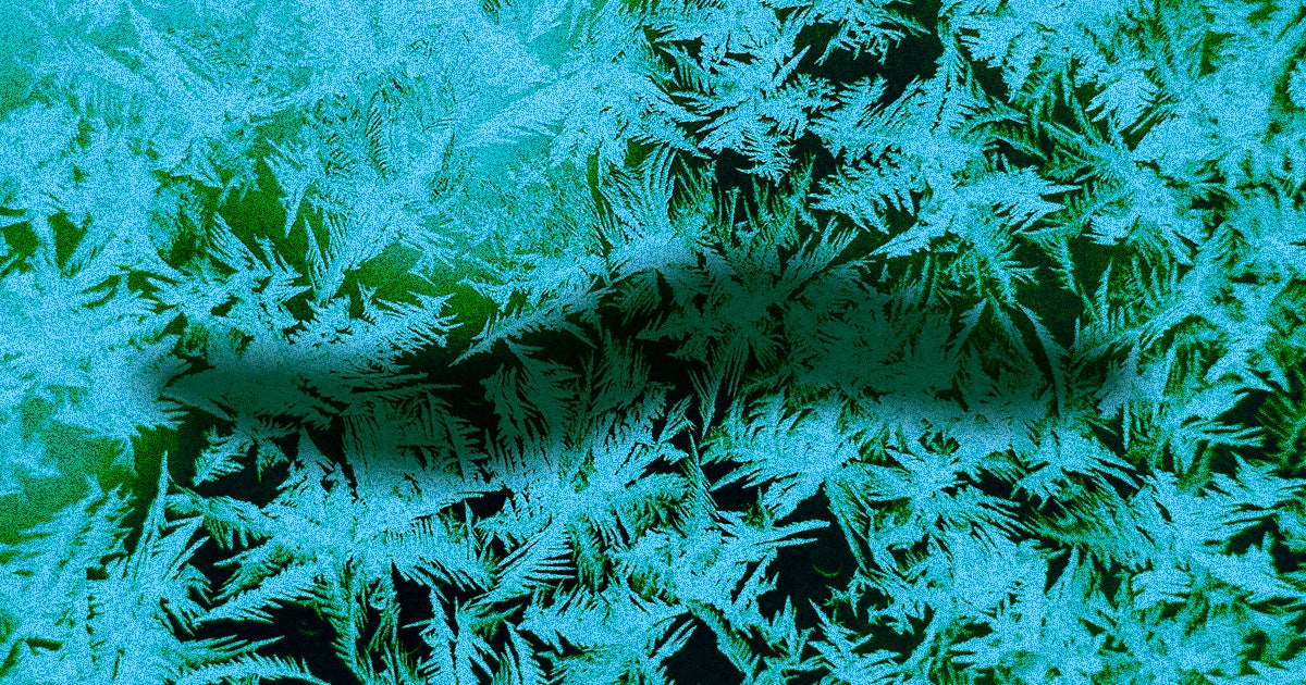 Scientists found and woke up a microscopic creature that froze and went dormant in Siberian permafrost about 24,000 years ago.