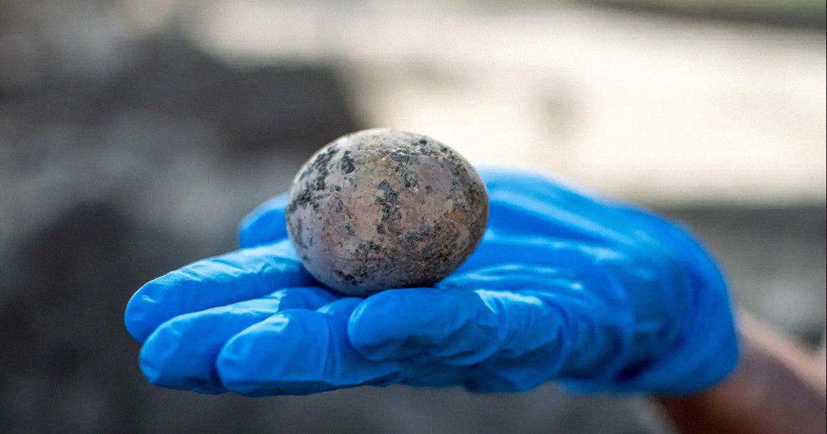 Archeologists in Israel made an incredibly rare discovery in the ancient industrial zone of Yavneh, a central Israeli city: a 1,000 year old chicken egg.
