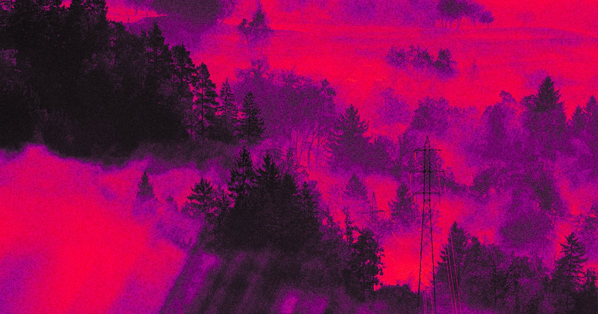 A tech startup says it's gene-hacked trees to asborb and sequester more climate change-inducing carbon dioxide out of the atmosphere.
