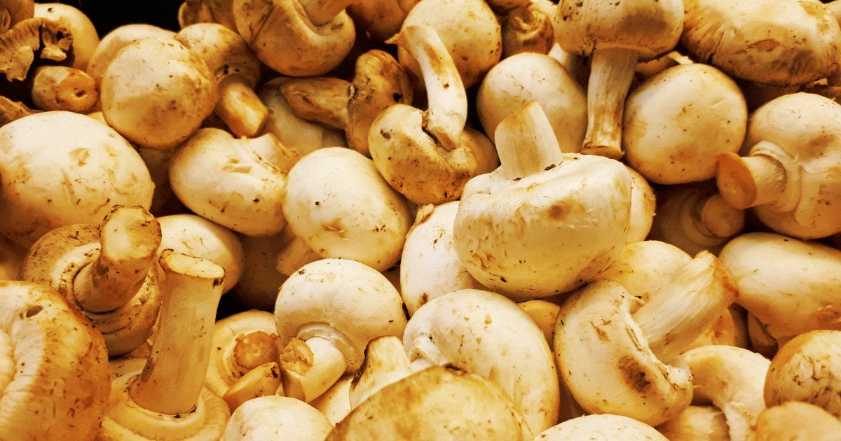 According to a new study, eating just 18 grams of mushroom a day, roughly the equivalent of two mushrooms, could almost halve the risk of cancer.