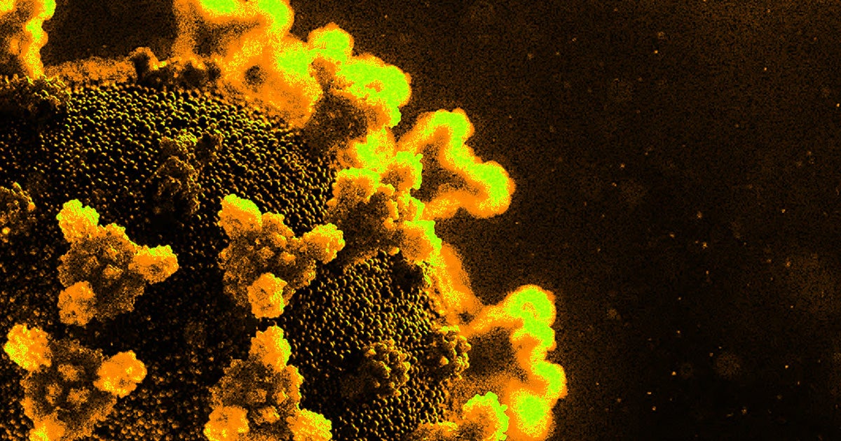 Guangzhou, the the capital capital of China's most populous province Guandong, is experiencing a flare up of coronavirus cases.