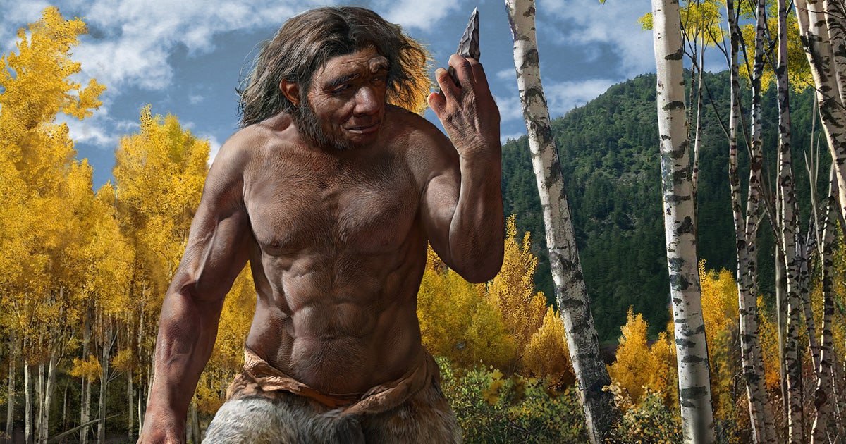 Scientists discovered that an ancient skull belonged to a new species in the Homo genus that's even closer related to us than Neanderthals.