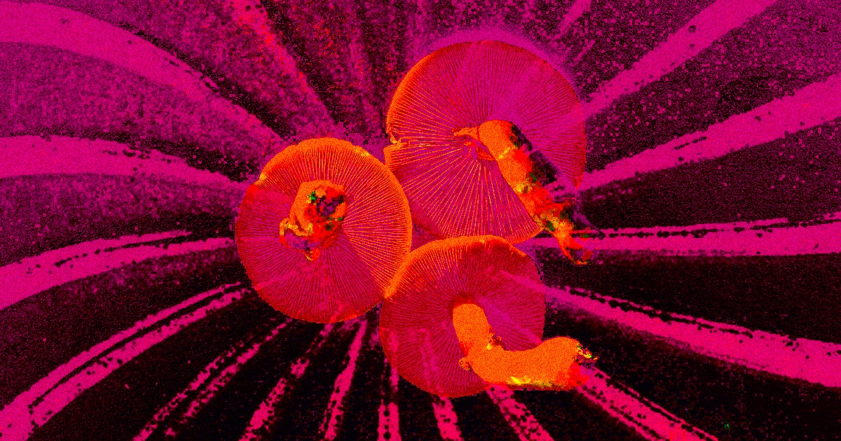 In a new clinical trial, psilocybin seemed to perform just as well as a treatment for major depressive disorder as a conventional SSRI.