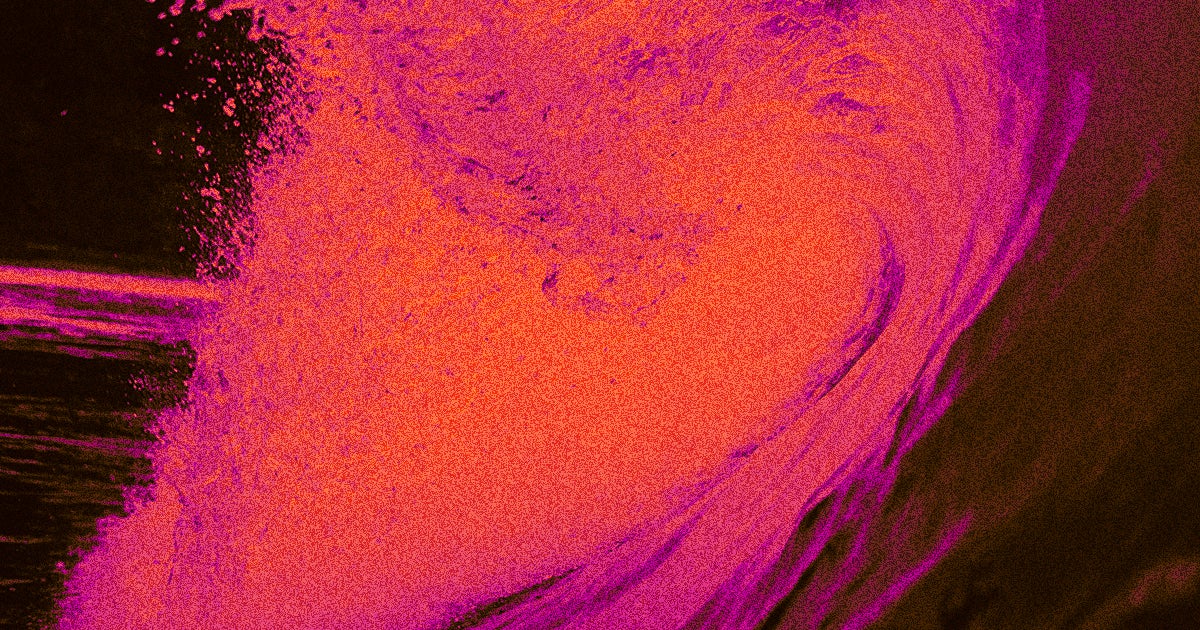 A new paper warns that increasingly acidic oceans will lead to a collapse of the global food web within the next few decades.