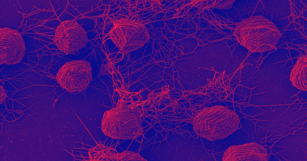 Scientists have discovered a new DNA structure they call the "Borg" that assimilates genes from other microorganisms in its surroundings.