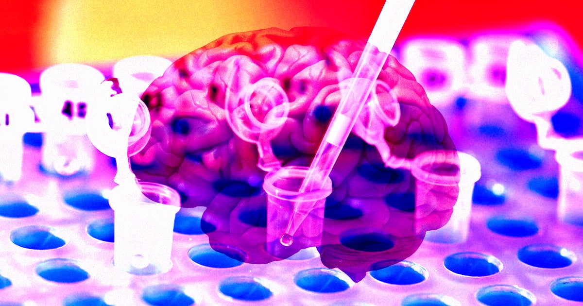 A lab worker in France was diagnosed with a deadly brain disease caused by the exact kind of proteins that her lab studied.