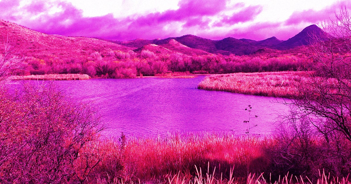 An Argentinian lagoon in the southern Patagonia region has turned a strikingly bright shade of pink, the result of chemical runoff from a nearby plant.