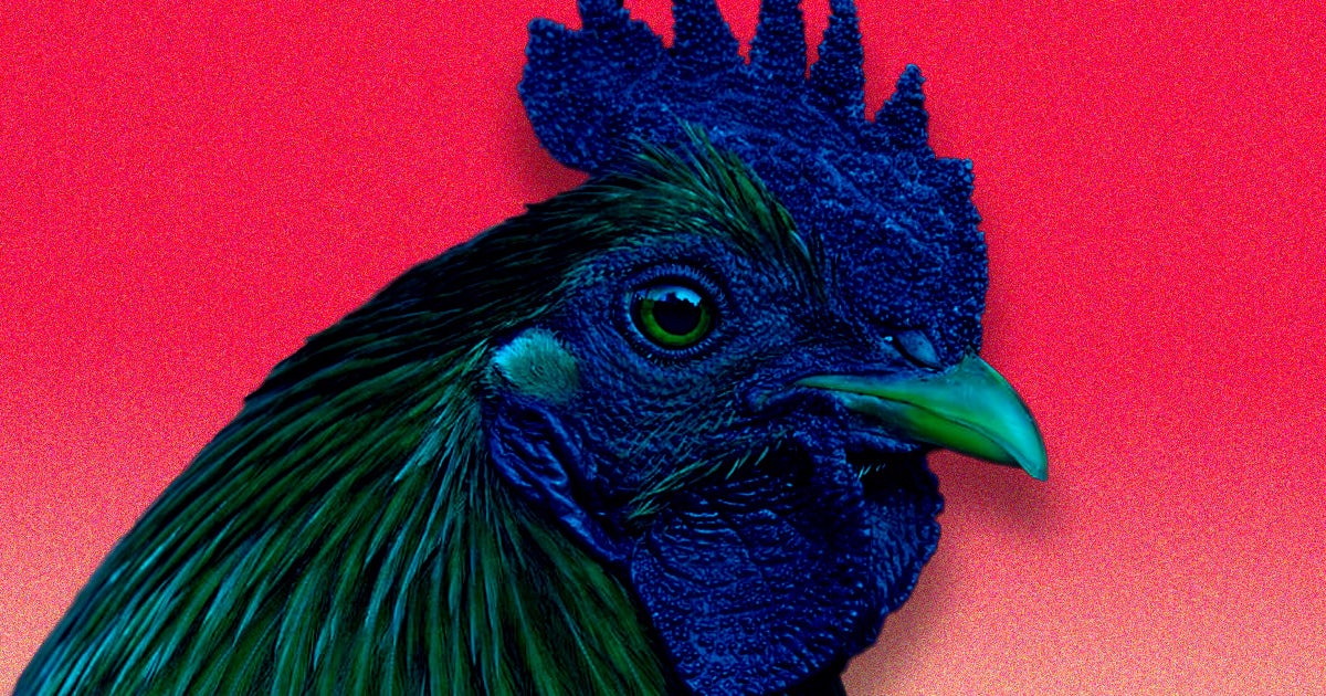 A 55-year-old man from a city in the southwestern province of Sichaun experienced a fever and tested positive for the H5N6 avian flu.