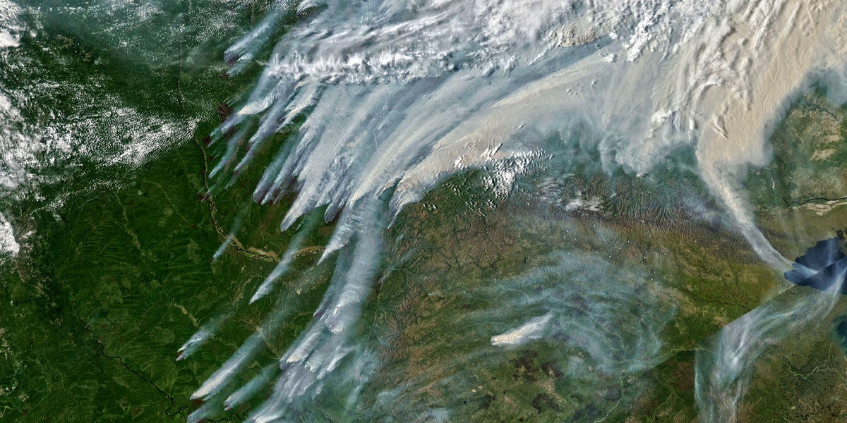 Wildfires are raging across the entire globe right now, producing unprecedented amounts of greenhouse gases, visible scars left behind by climate change.