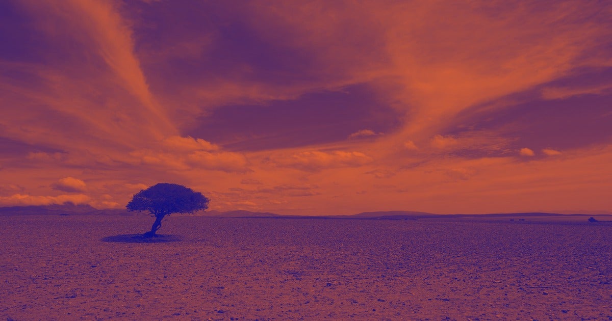 The National Oceanic and Atmospheric Administration (NOAA) said on Friday that July 2021 was “Earth’s hottest month in 142 years.”