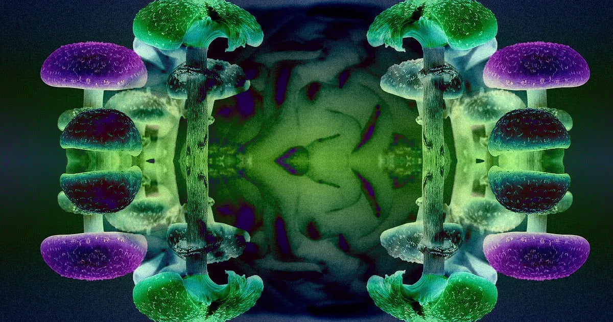 As astronauts venture farther and farther into space, they may need a little pick-me-up in the form of psilocybin when they start to feel lonely.