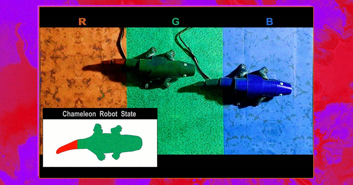 Scientists developed a rudimentary active camouflage system that adjusts color in real-time and tested it on a tiny chameleon robot.