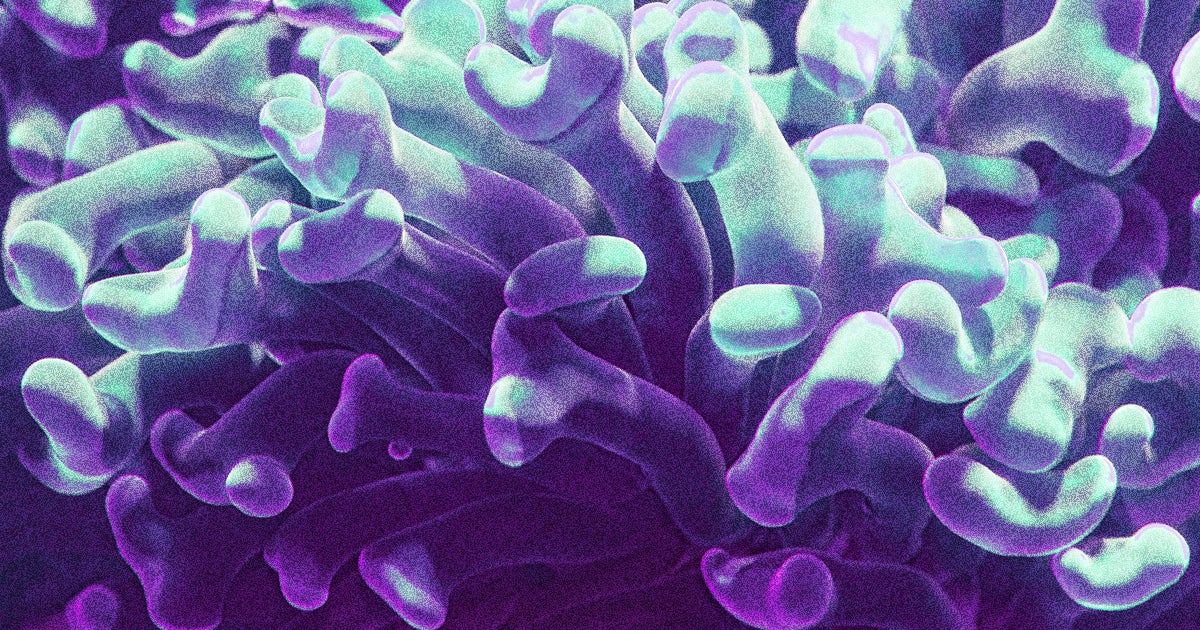Scientists stumbled upon a giant, surprisingly healthy mass of coral that's survived in the Great Barrier Reef for hundreds of years.