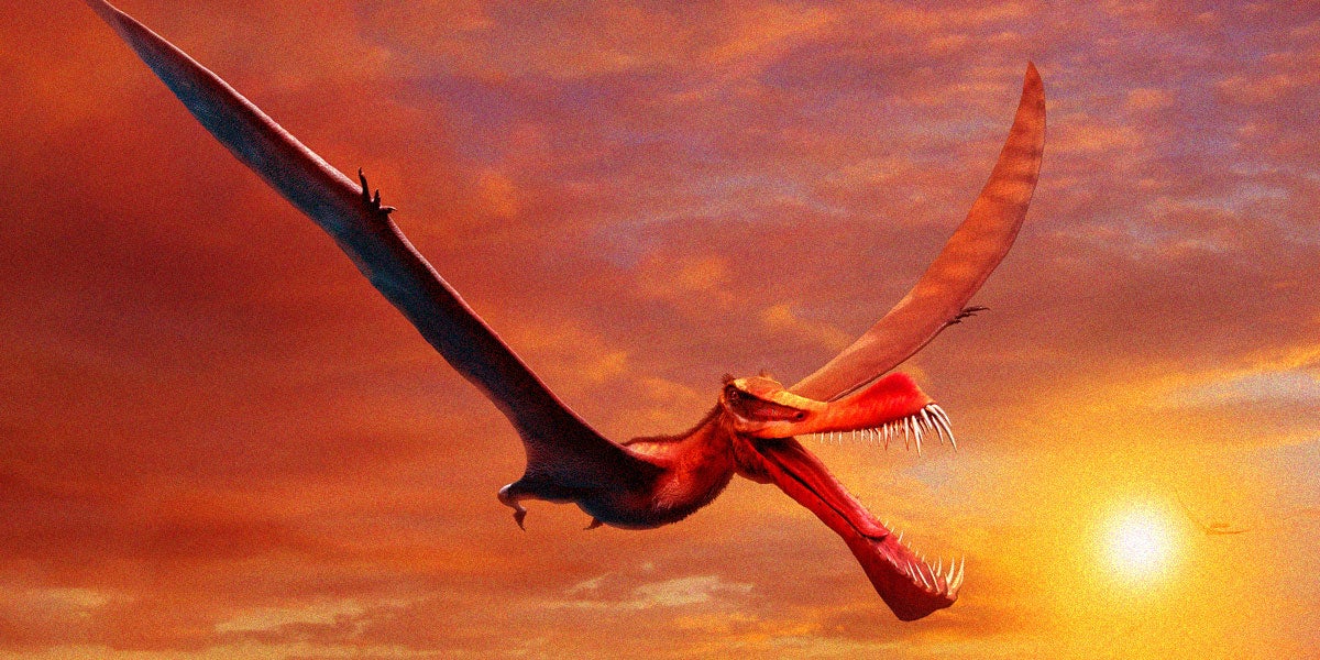 Scientists uncovered fossils of a fearsome new pterosaur species that strongly resembles a dragon from European mythology.