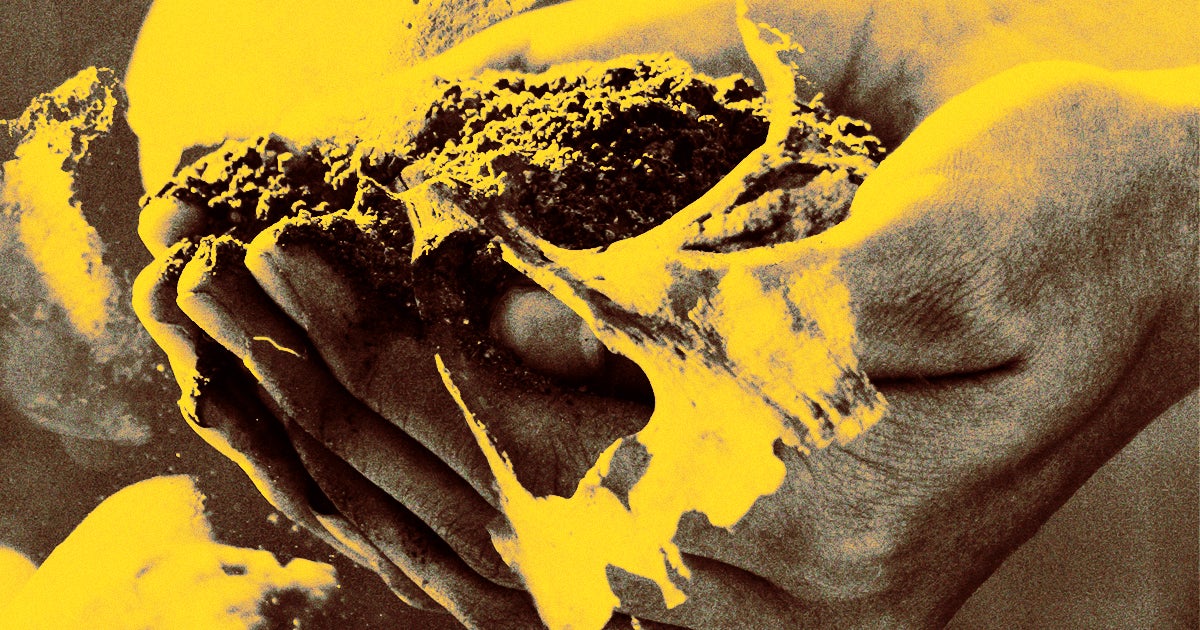 The California state legislature might legalize human composting in the state, reducing the environmental toll of traditional burial or cremation.