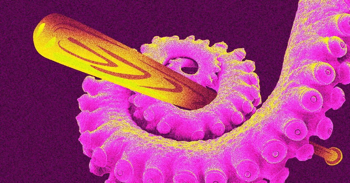 Scientists watching octopuses interact with each other found that they "throw" shells and dirt at each other, including a female rejecting an amorous male.