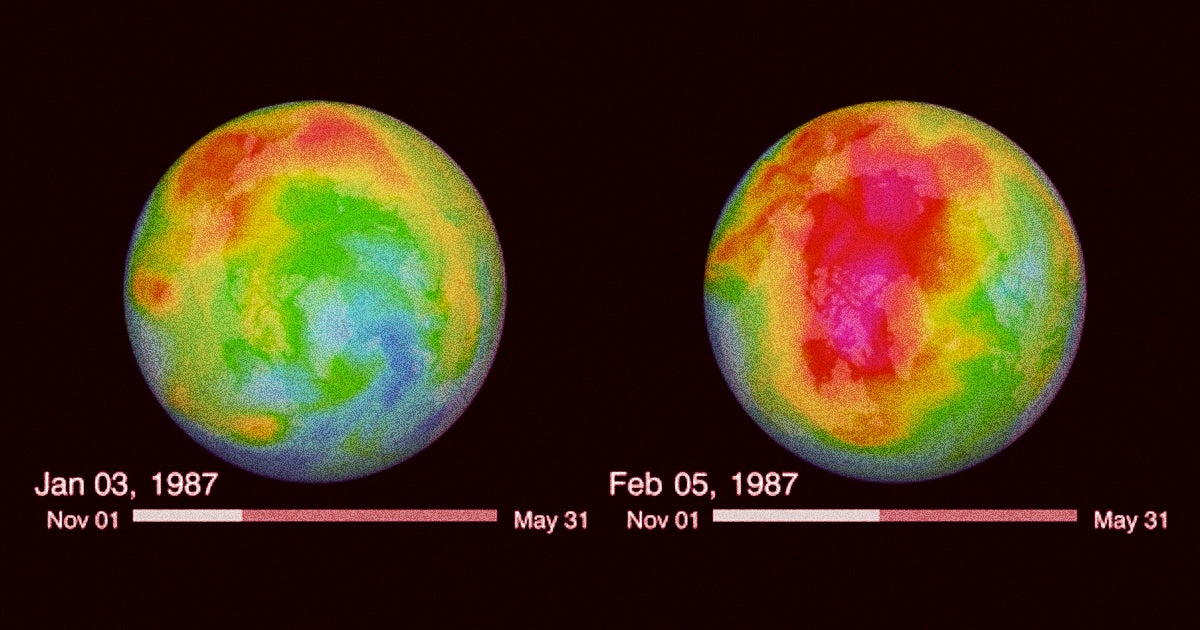 A new analysis of the environmental impact of the 1987 ban on CFCs found that it bought us crucial time to stave off the worst of climate change.