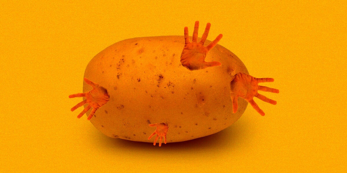Scientists inserted a human gene responsible for fat production into potato plants to grow more food without taking up more space.