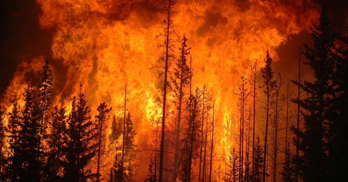 A new video making its round son social media shows how the devastating wildfires in southern Turkey have become.