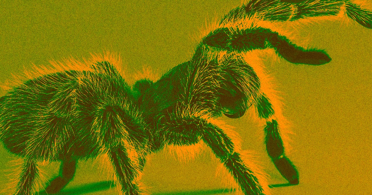 A new app called Phobys uses augmented reality to surround arachnophobic people with spiders as a form of virtual exposure therapy.