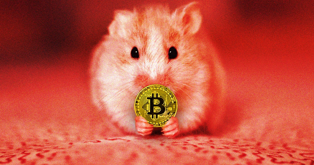 A hamster called Mr. Goxx has been busy making deals and trading cryptocurrencies, amusing some of the biggest names in crypto, including Elon Musk.