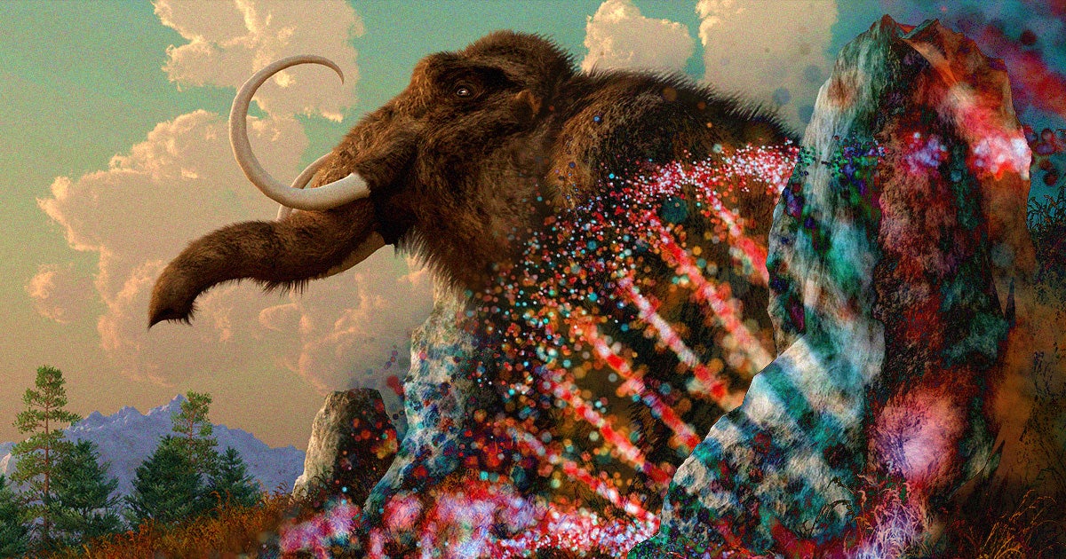 A biotech startup helmed by provocative Harvard geneticist George Church has secured $15 million in funding to bring back woolly mammoths.