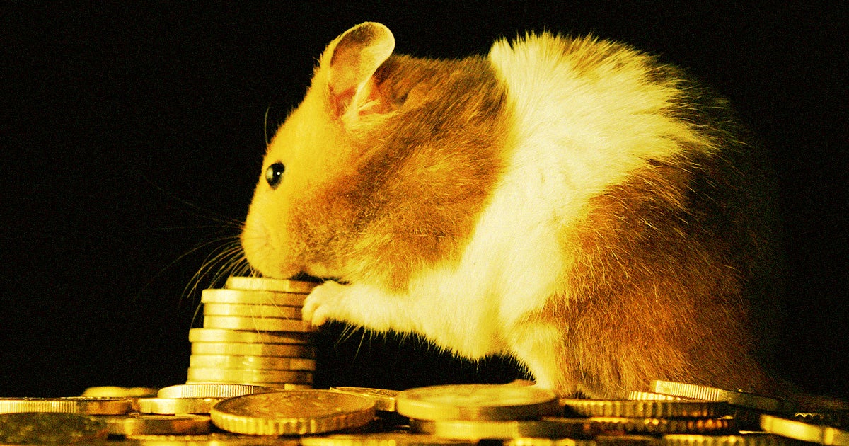 The alternative cryptocurrency Hamster skyrocketed on Tuesday — and Tesla CEO Elon Musk may have had something to do with it.