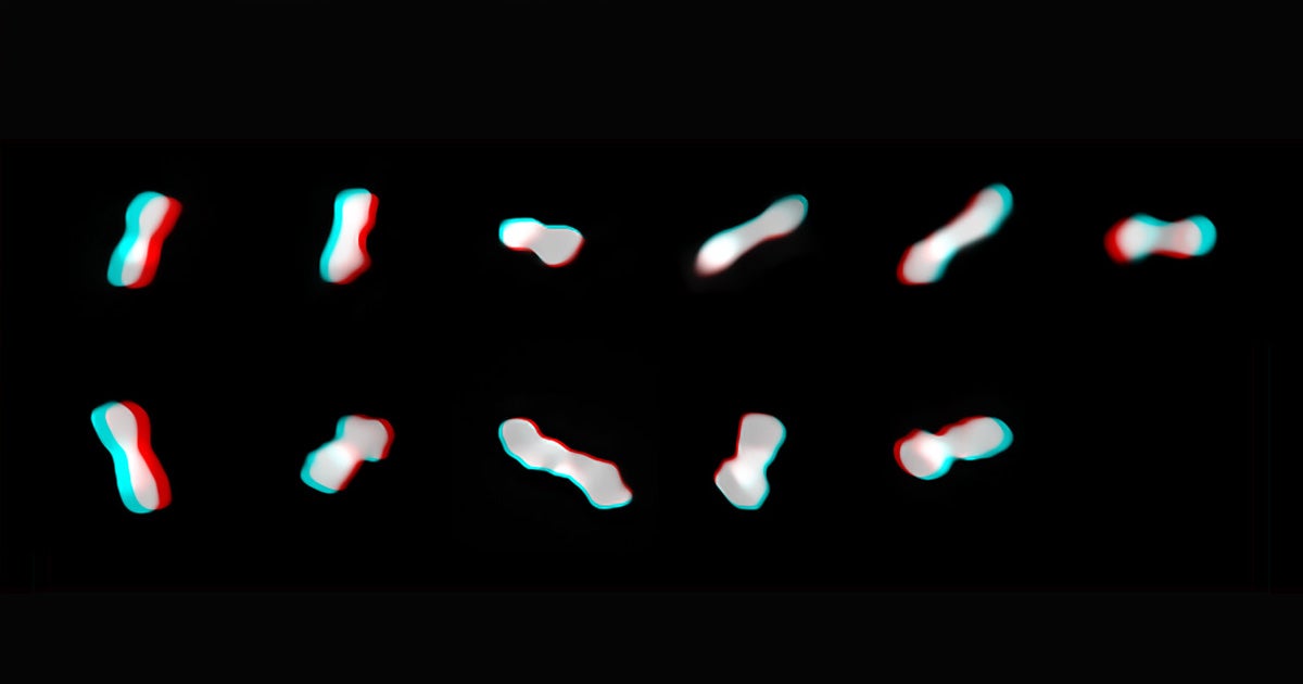 Scientists got an incredible look at Kleopatra, also known as the "dog bone asteroid," which is spinning so fast it might rip itself apart.