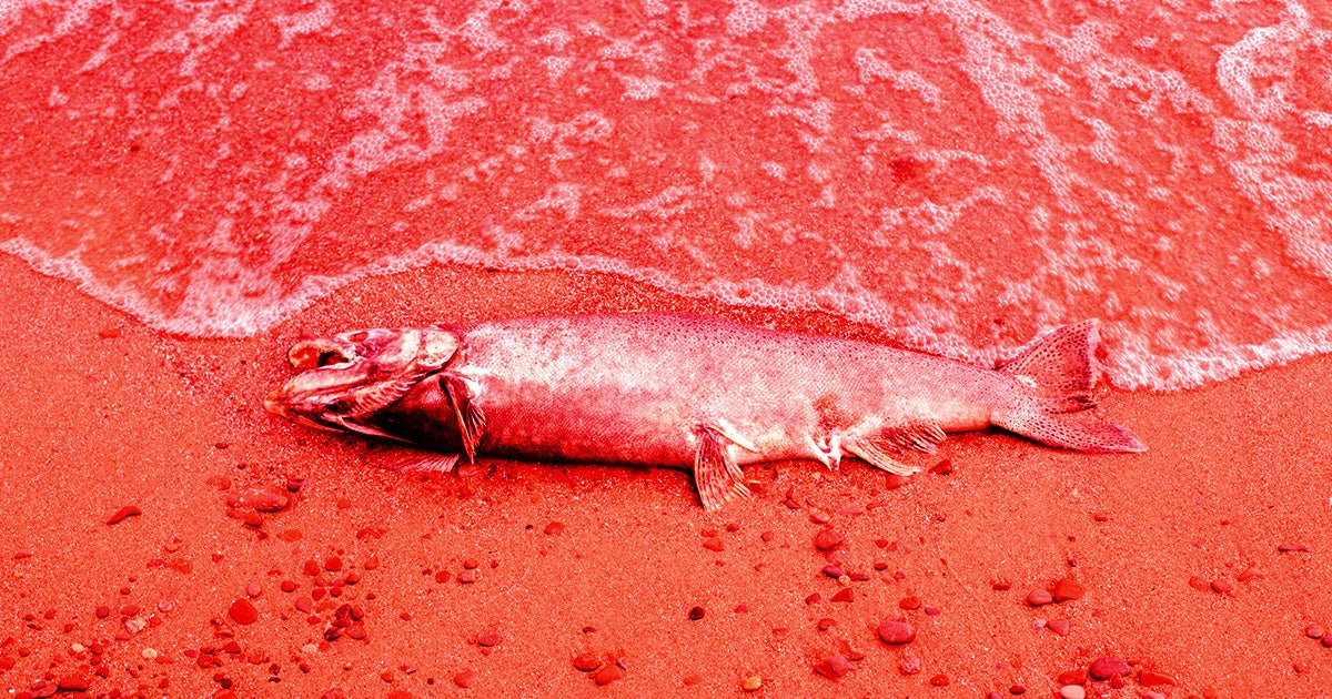 Scientists identified alarming parallels between the conditions that led to a horrific mass extinction event and the impacts of modern-day climate change.