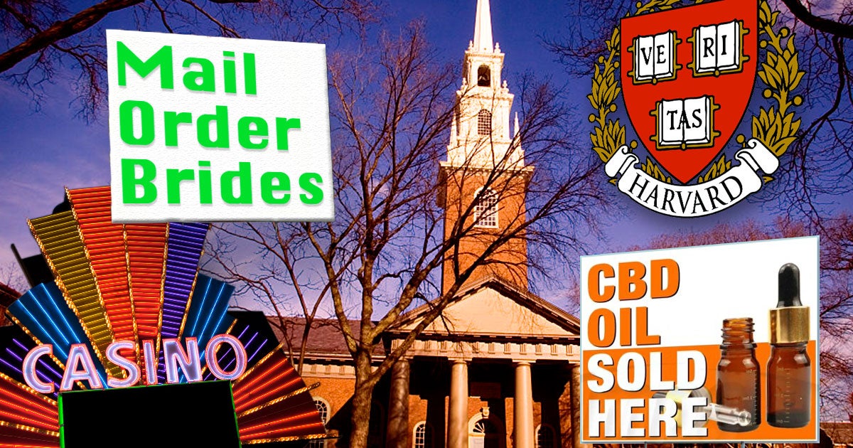 Scammers are cooking up fake Harvard students to shill brands on the university’s website -- and the practice appears to be widespread.