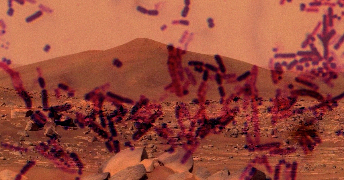 Georgia Tech scientists believe that microbes could be the key to producing the rocket fuel needed to take humans from Mars back to Earth.