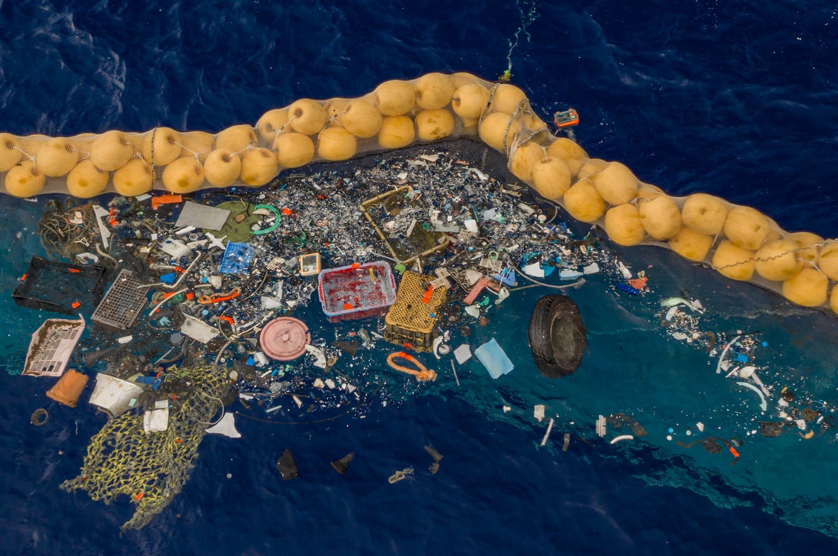 A Dutch inventor has helped create a device, dubbed "Jenny," that has collected nearly 20,000lbs of plastic from the Pacific Ocean.  