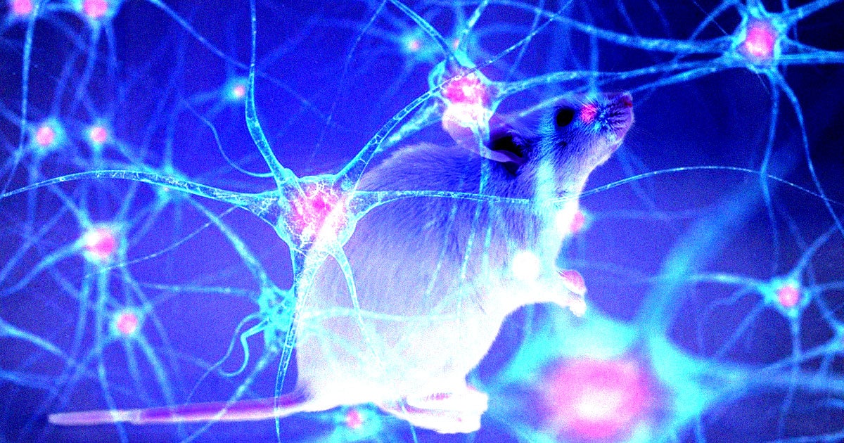 A team of researchers might have developed an incredibly promising way to treat — and possibly vaccinate against — Alzheimer’s disease. 
