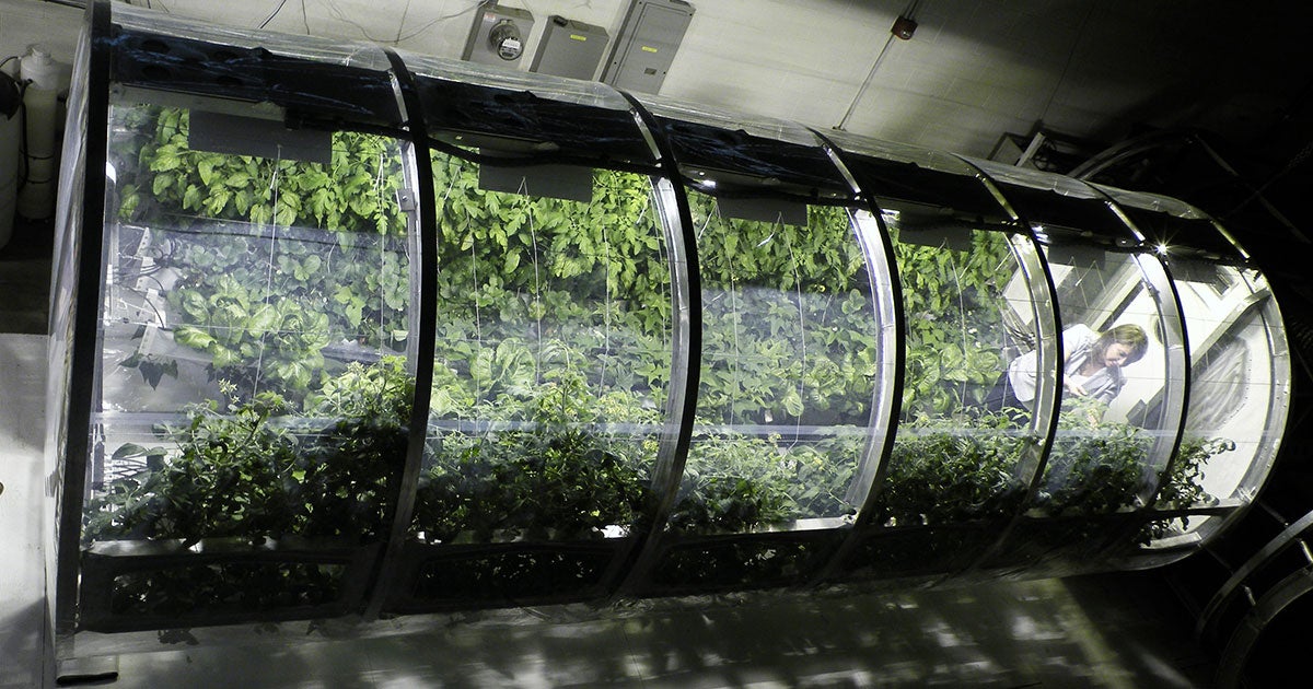 Researchers have discovered that the Moon might have frozen pockets of carbon dioxide — and it could be used to create lunar greenhouses in the future.