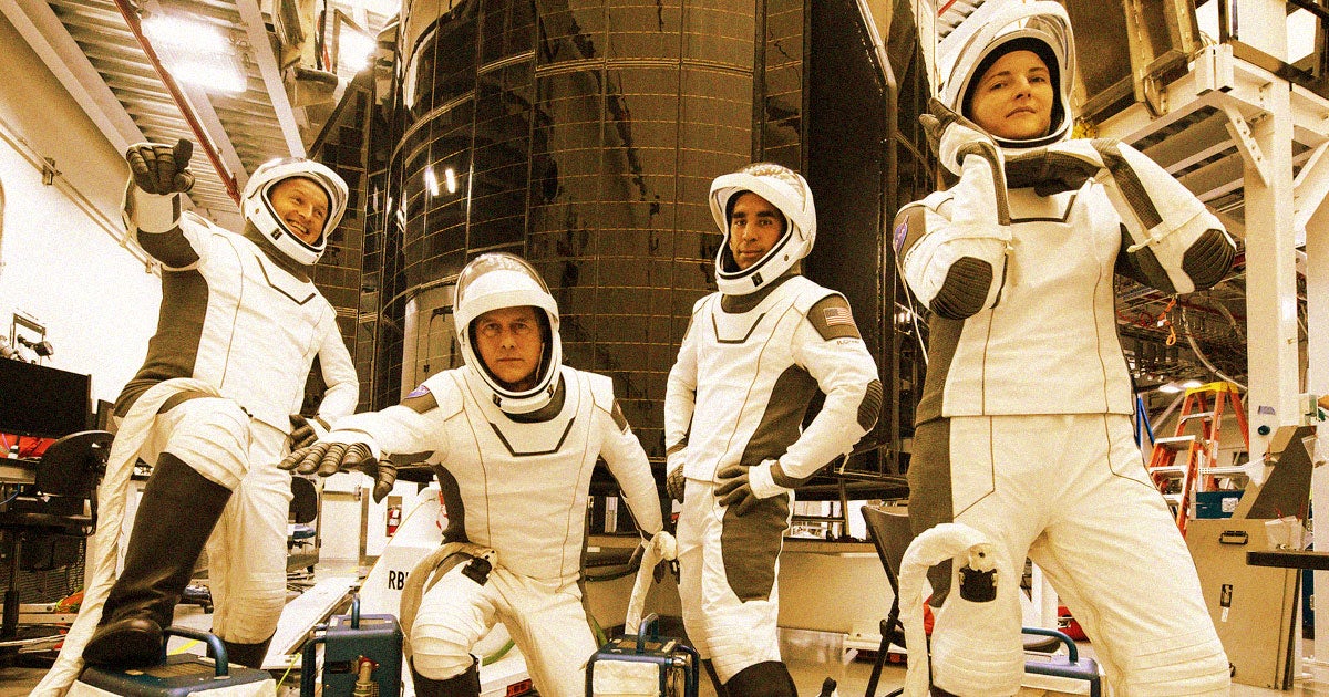 A NASA official said that astronauts headed to the ISS on board a SpaceX Crew Dragon will have to rely on their "undergarments" due to a leaky toilet.