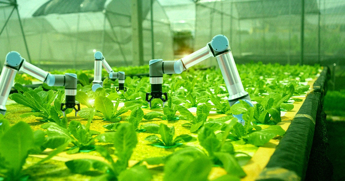 In response to the so-called "labor shortage," companies are looking to finally replace replace workers with machines.