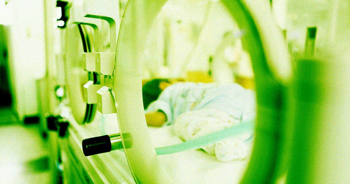 When Elon Musk is not warning us of an imminent nuclear Armageddon, he has often brought up another favorite talking point: declining birth rates.