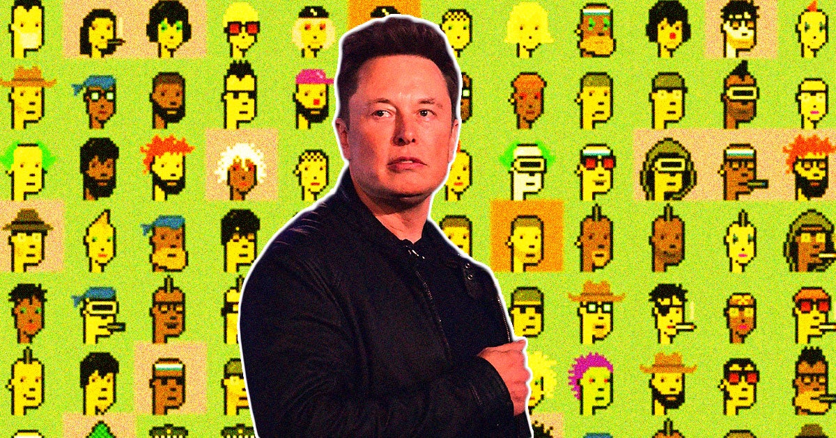 Elon Musk tweeted a meme mocking NFT lovers this week, just after saying he'd use Doge Coin and after a previous attack against DAO users.