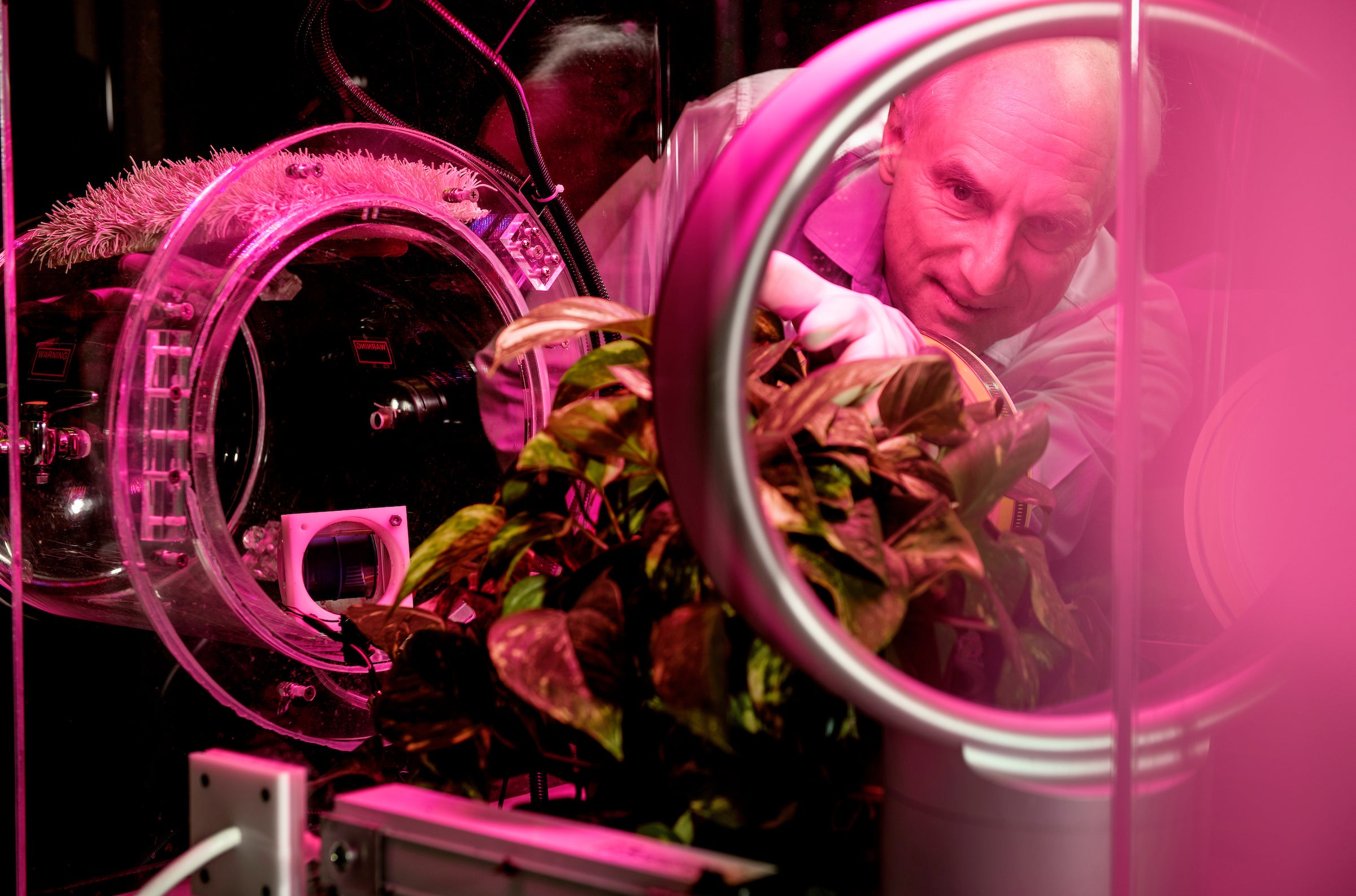 Arizona State University professor Klaus Lackner created mechanical trees to soak up carbon dioxide and mitigate climate change.