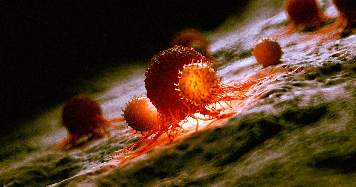 The American Cancer Society revealed on Wednesday that overall cancer death rates dropped 32 percent from its peak in 1991 to 2019.