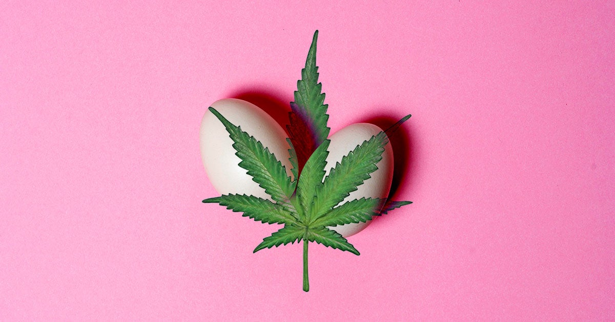 Eating edibles may have adverse effects on testicles, a new study suggests. 