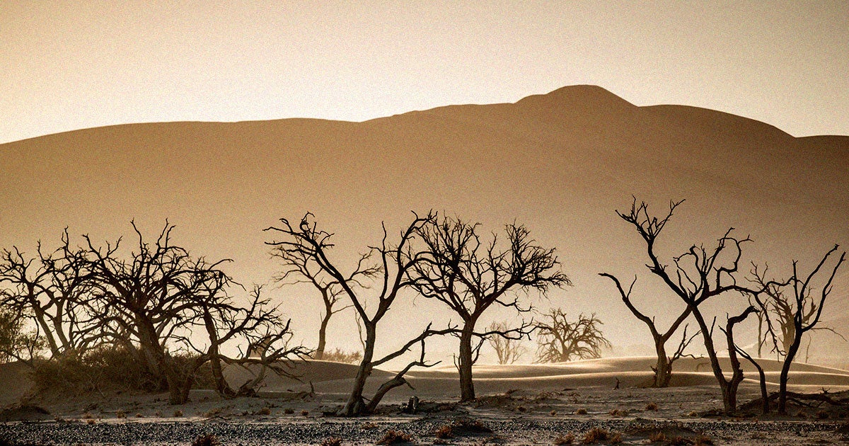 Geneticist Brian Hanley explained his life-extending experiments and why climate change will be his future cause of death if he lives to be 150 years old.