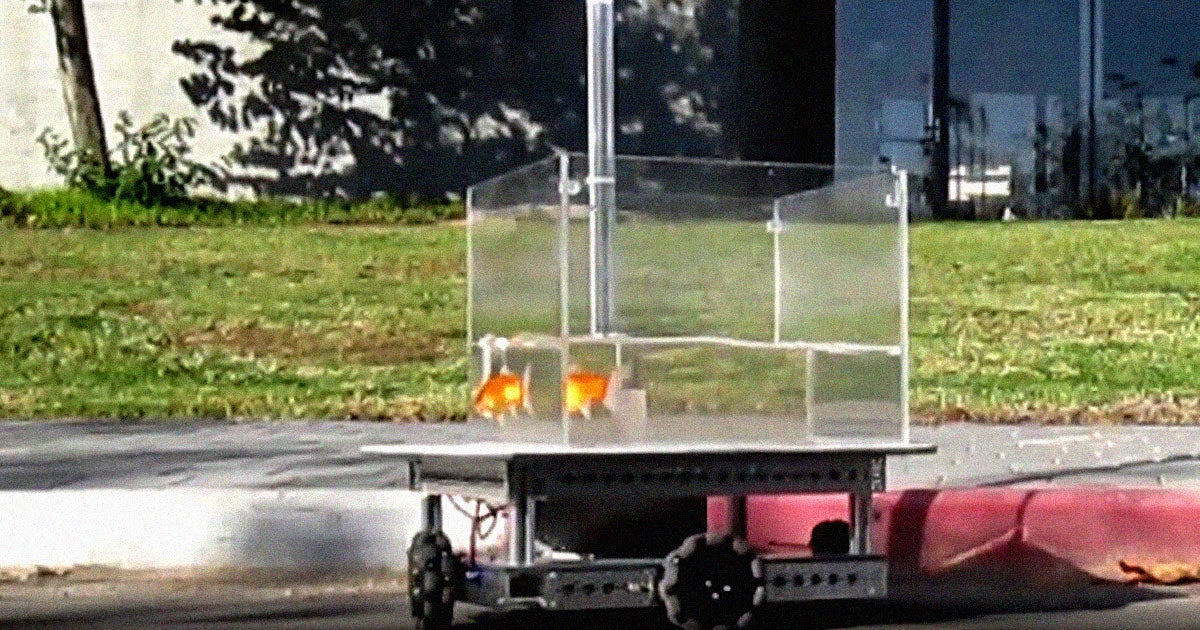 A team of Israeli scientists have allowed a goldfish to navigate dry land — or, at least, remotely control a fish tank on wheels.