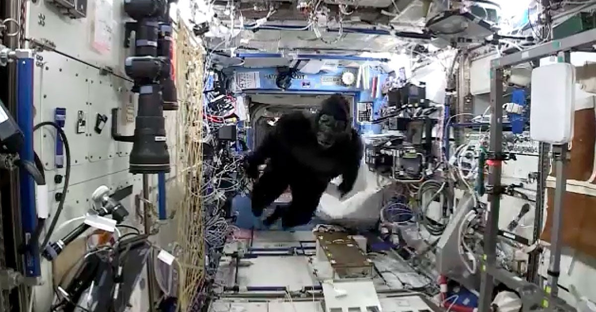 The first gorilla suit Mark Kelly sent his twin in space exploded in 2015 when a SpaceX Falcon 9 rocket was lost in a massive fireball.