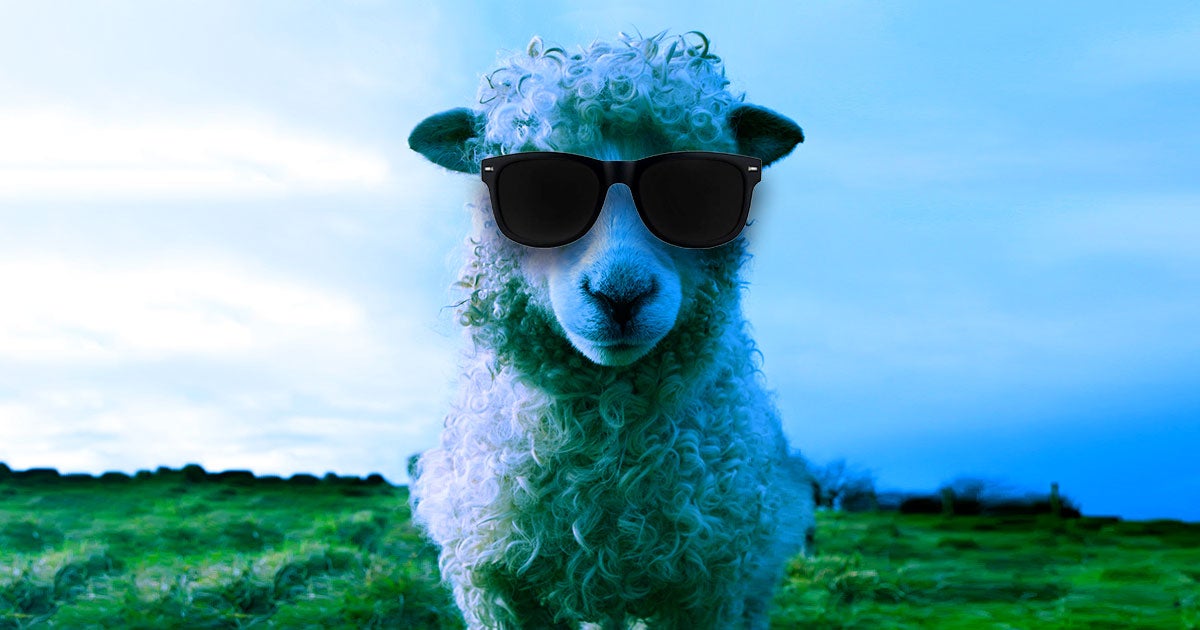 A team of researchers gave sheep vastly improved vision, using bionic eyes surgically implanted behind their retinas. The same could work in humans.