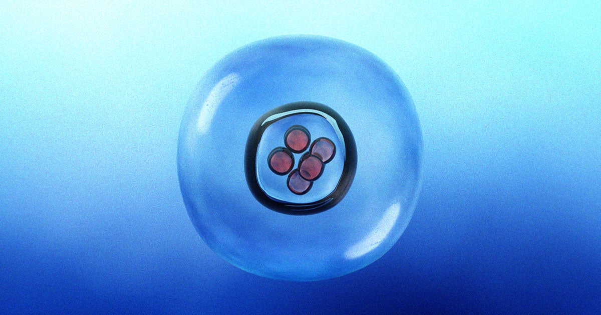 Researchers in Suzhou, China claim to have created an AI system that can monitor and care for embryos as they grow into fetuses in an artificial womb.
