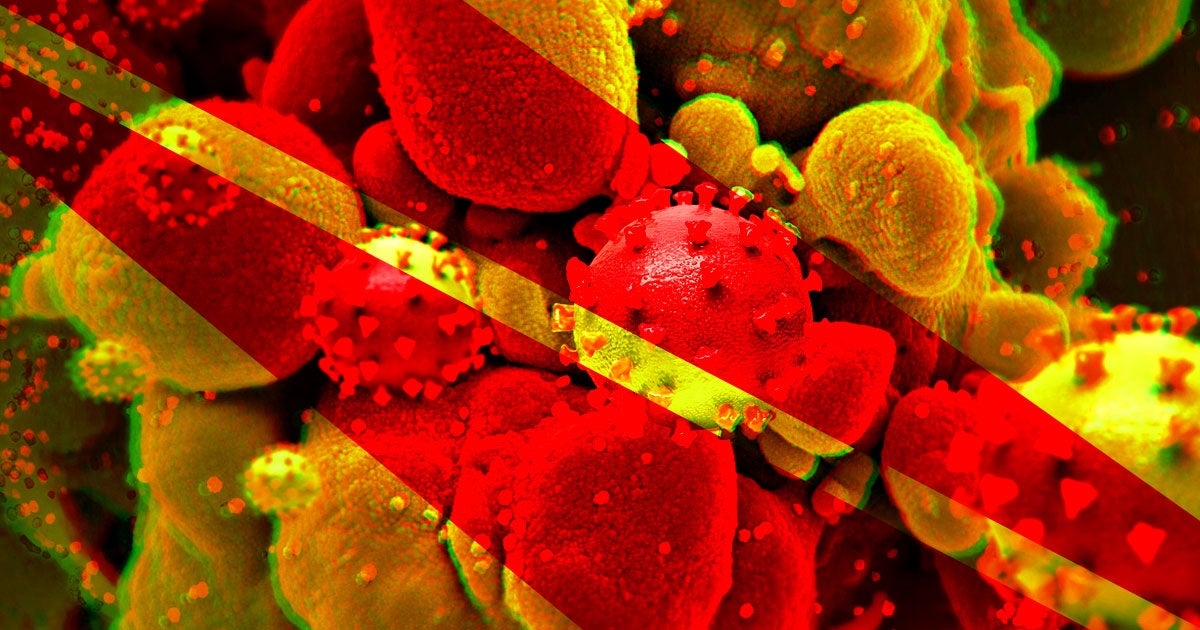 An anonymous genius behind the username "Bayneko" effectively turned an NFT into an infectious disease, causing it to land in almost 100,000 wallets.