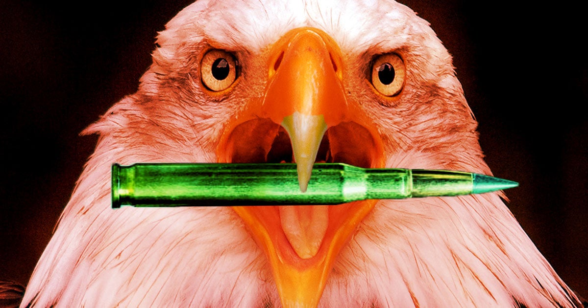 Bald and golden eagles in the US are facing a new existential threat: lead poisoning caused by bullet fragments left behind by hunters.