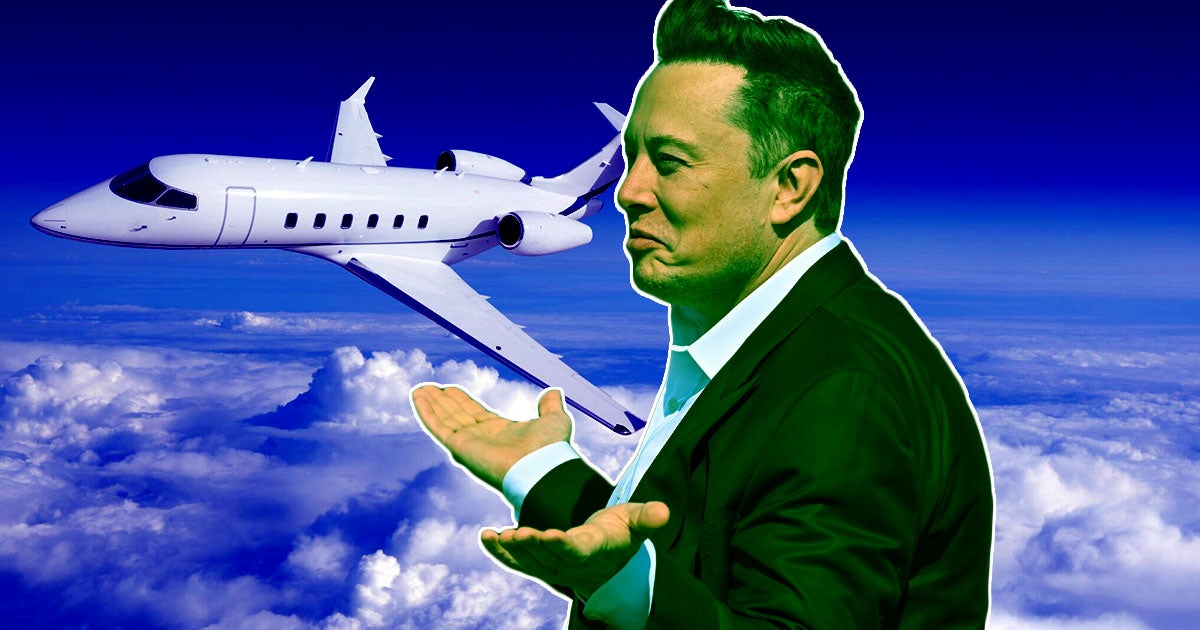 One Florida teen is converting Elon Musk's anger at him into his very own 15 minutes of fame. 